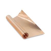 Copper Strip Coil Price with High Quality